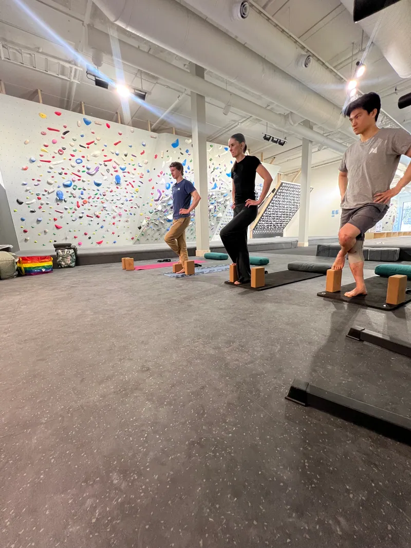 Deltakere på morgenyoga foran klatreveggen