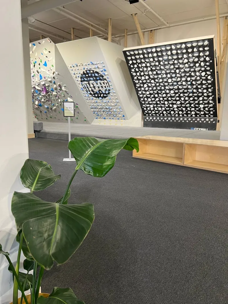 Bratte treningsvegger og en benk bak en stor grønn plante