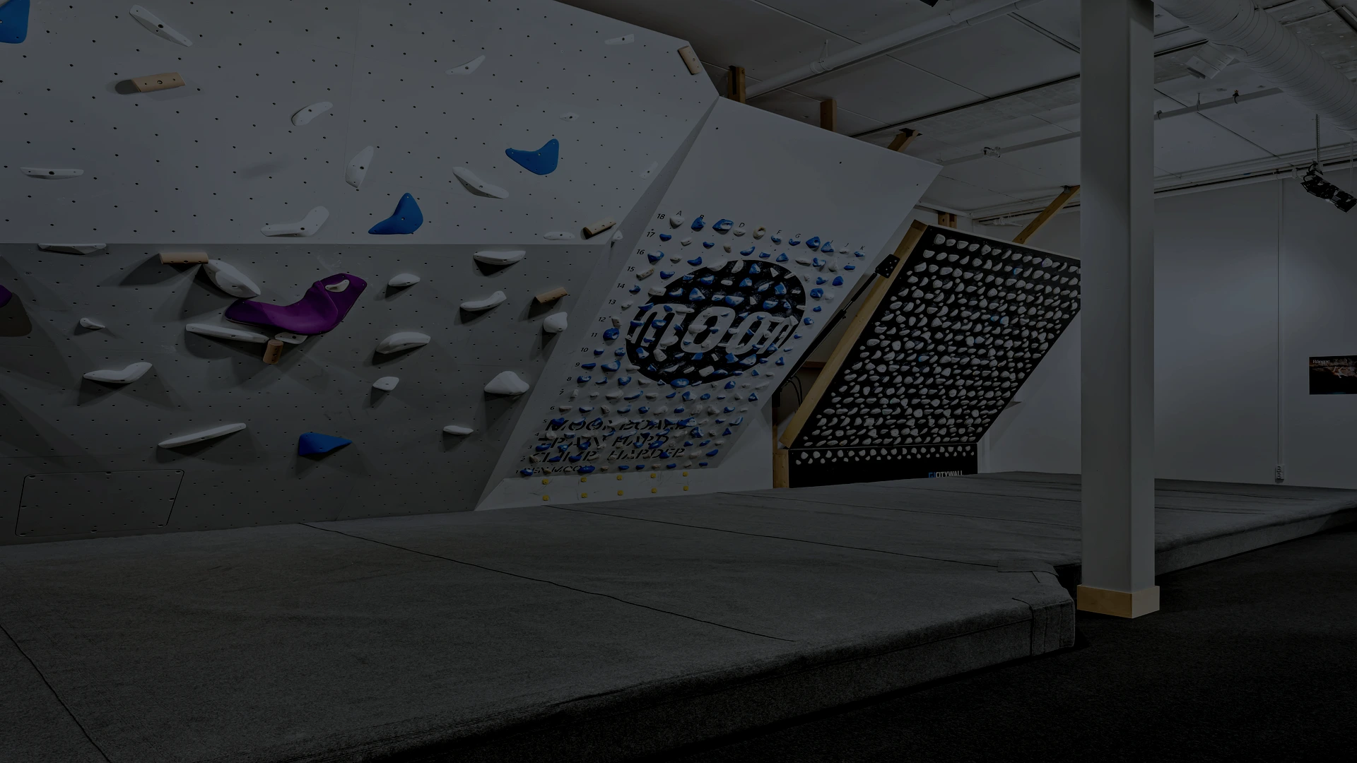 Killerboard og Moonboard