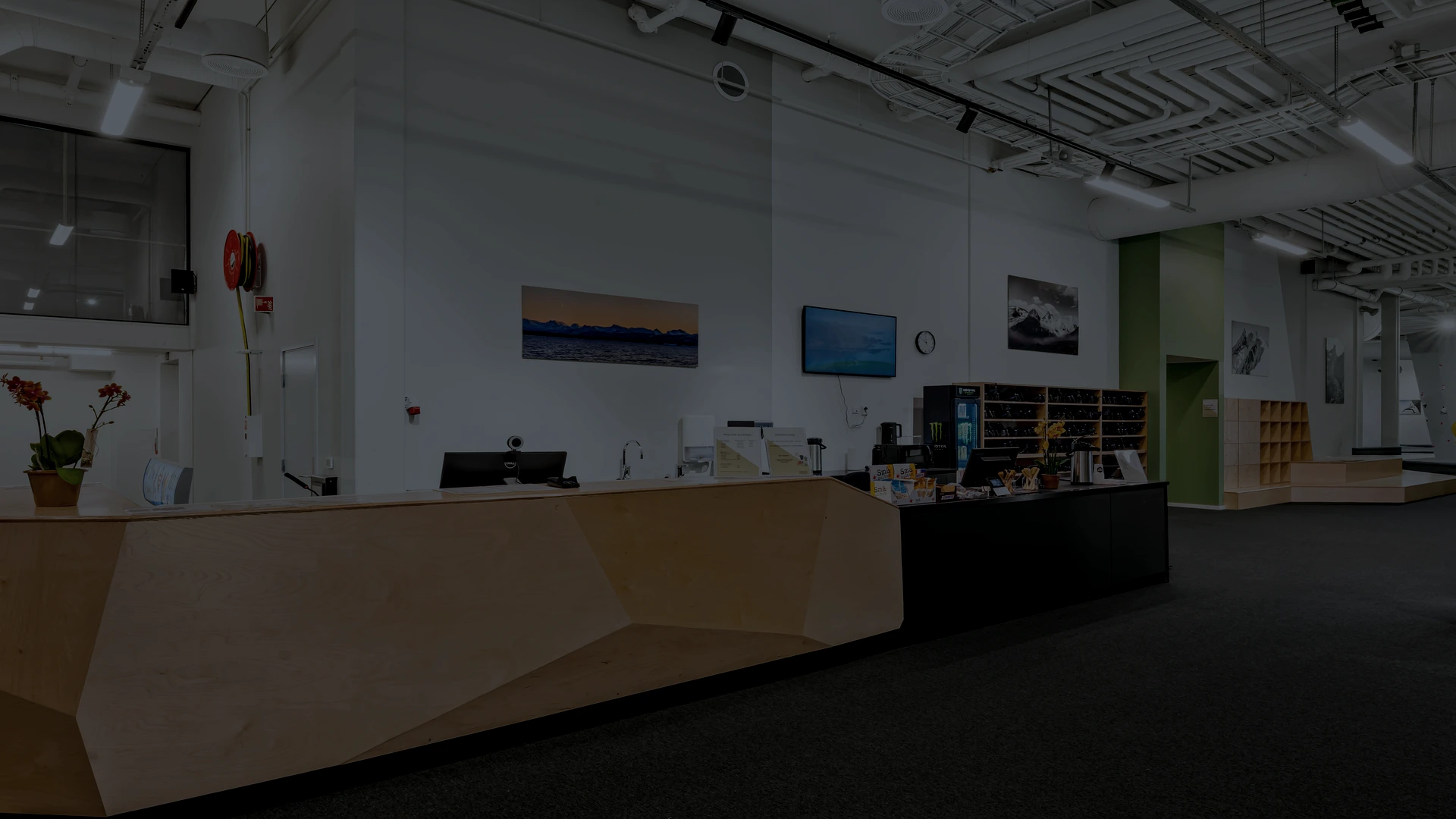 Resepsjon med Triaden neon-logo